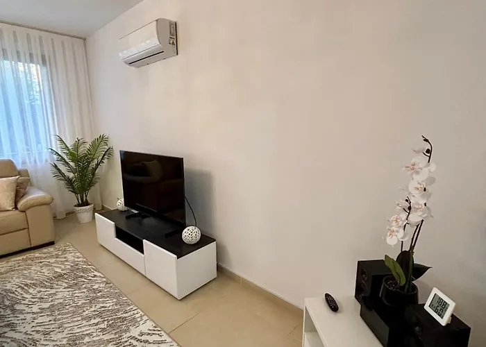 Beautiful House Near Venus *